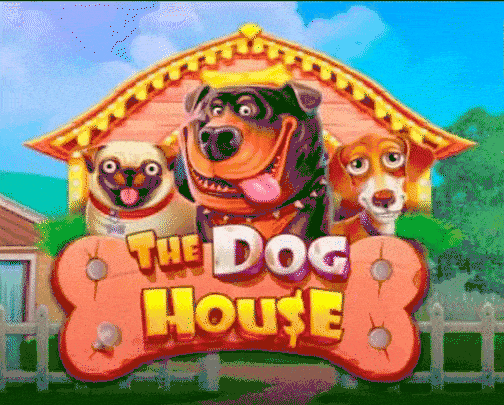 play The Dog House in super spin casino